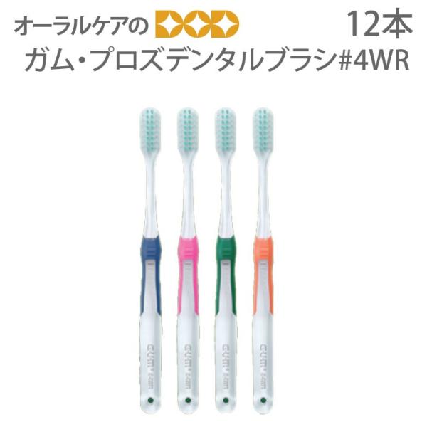 uV a TX^[ uV GEUEM GUM Pro'sf^uV#4WR ~fBA 4FA\[g 12{ [։ 1Zbg12{܂ [֑