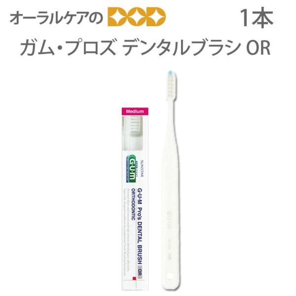 12/1I5%OFFN[|IuV TX^[ KEvY f^uV OR 1{ [։ 12{܂