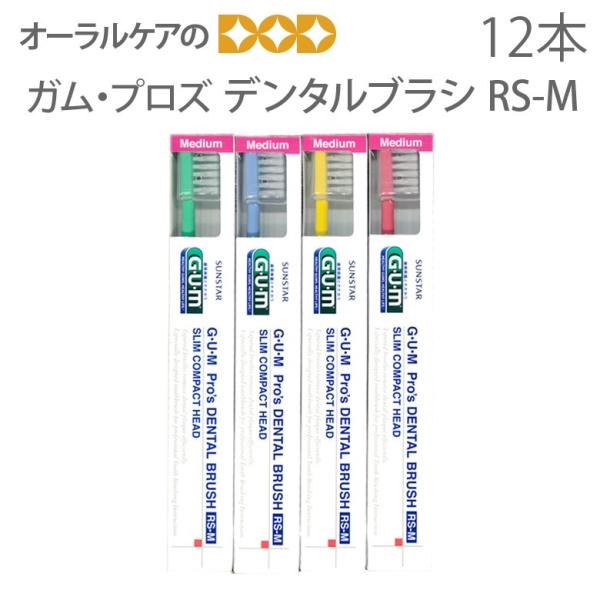 uV a TX^[ GEUEM GUM K vY f^uV RS-M 12{1 [։ 1Zbg܂ [֑ 