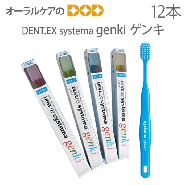 uV CI ȗp Dent. Systema genki lp 12{Zbg [֕s 