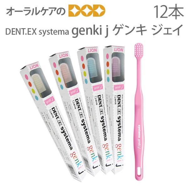 ���u���V �q�� ���C�I�� ���ȗp Dent. Systema genki J 12�{�Z�b�g �����̏����ȕ��A�e�B�[���Y���� ���[���֕s�� ������