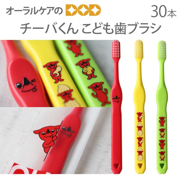 uV q `[o ǂuV 3FA\[g 30{ { LN^[D [։ 1Zbg30{܂ [֑ 