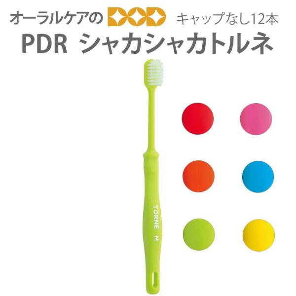 10/11限定3%OFFクーポン！歯ブラシ PDR シャカシャカ トルネ キャップなし 12本 アソート6色 メール便可 2セットまで 即発送