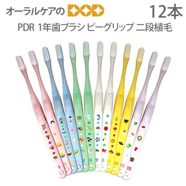 11/9I5%OFFN[|IuV PDR 1NuV s[Obv iA 12{ [։ 2Zbg܂ [֑ 