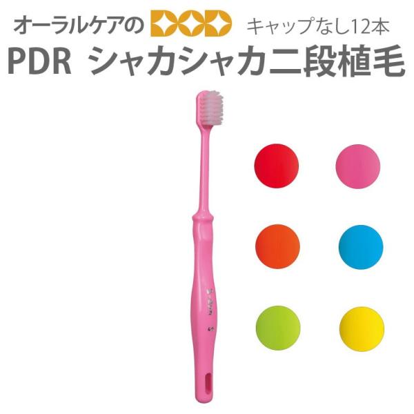 11/9I5%OFFN[|IuV PDR VJVJ iA 12{ A\[g6F [։ 2Zbg܂ [֑ 