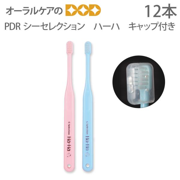 歯ブラシ 子供 PDR シーセレクション ハーハ キャップ付き 12本 メール便可 2セットまで
