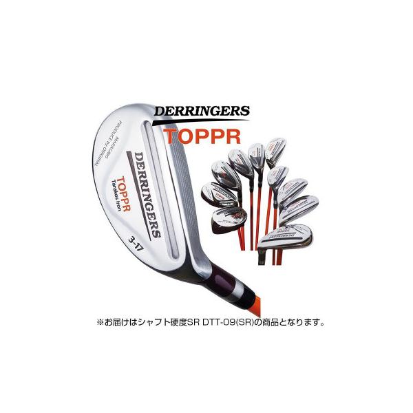 デリンジャートッパ(突破)タラコアイアン 9番 シャフト硬度SR DTT-09