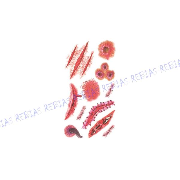 ハロウィン仮装やコスプレ、ドッキリなどに！リアルな傷跡転写シール！これだけあればどんなゾンビも作れます♪選べる全19種類！メイクより簡単でラクチン♪貼りたい柄をシートから切り離して貼ります、貼ったままシートに水を含ませて剥がせばあっという間...