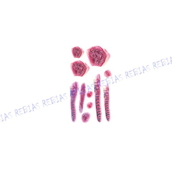 ハロウィン仮装やコスプレ、ドッキリなどに！リアルな傷跡転写シール！これだけあればどんなゾンビも作れます♪選べる全19種類！メイクより簡単でラクチン♪貼りたい柄をシートから切り離して貼ります、貼ったままシートに水を含ませて剥がせばあっという間...