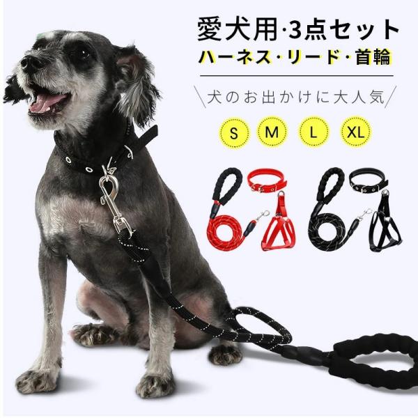 Wild One 犬用 首輪、ハーネス、リース 3点セット Amazon | ワイルドワン ハーネス 2.0 - ミディアム - スプルース