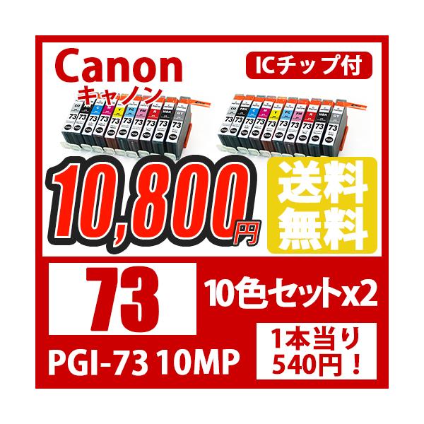 Canon キャノン PGI-2 10色セット 互換インク ICチップ付き