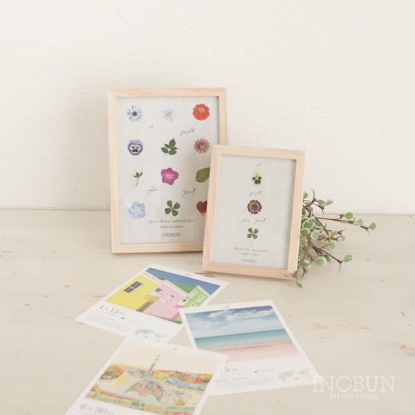 SK VR؃XtHgt[frame RF-1 T[rXTCYij NT {