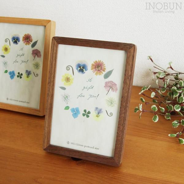 SK VR؃XtHgt[ frame RF-5 |XgJ[hTCYij BR {