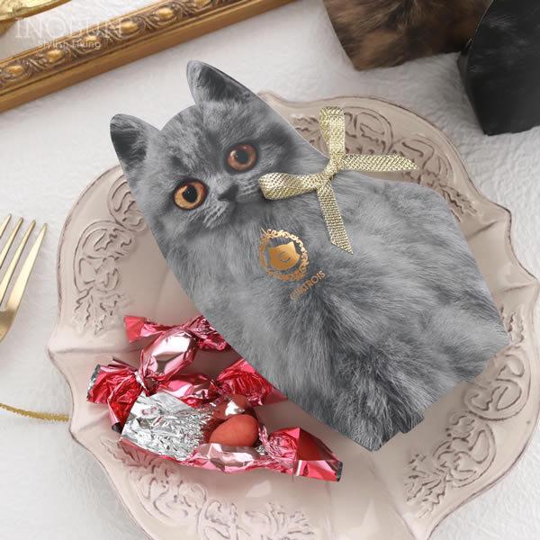 Chatrois シャトロワ キトン アーモンドショコラ 猫 チョコレート 苺 Inobun イノブン 通販 Yahoo ショッピング