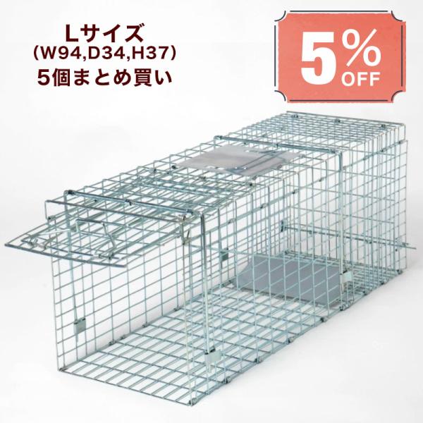 ハクビシン アナグマ アライグマ駆除 対策に効果あり 5台セットで10 割引 お手軽 折り畳みタイプ ビッグ 全長94cm 幅34cm 高さ37cm 小動物捕獲用 箱罠 Hakowana 0078set 箱罠 くくり罠のイノホイ Inohoi 通販 Yahoo ショッピング