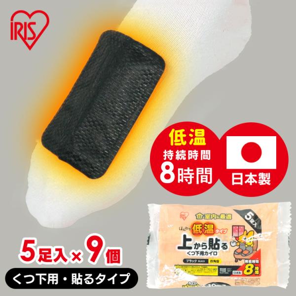 [検索用：カイロ 低温 使い捨て 貼る 防寒 あったか 冬 防寒対策 冷え 防災 備蓄 靴下 室内 4582228256088]