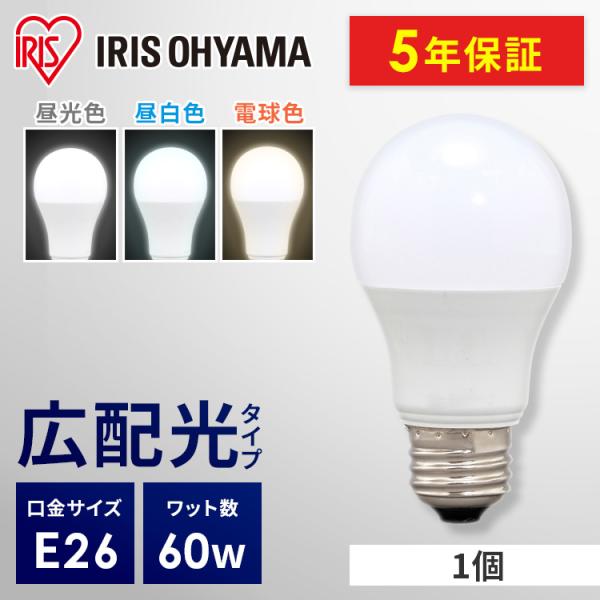 insair-y_p567794