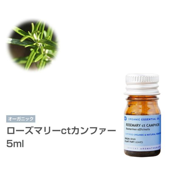 [I[KjbN] [Y}[ctJt@[ 5ml CZgI[KjbN GbZVIC 