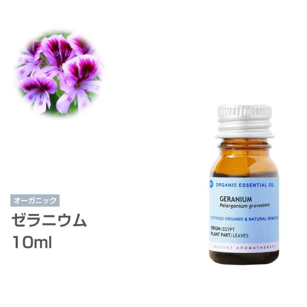 [I[KjbN] [jE 10ml CZgI[KjbN GbZVIC 