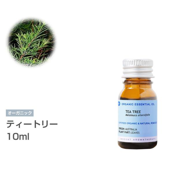 [I[KjbN] eB[g[ 10ml CZgI[KjbN GbZVIC 