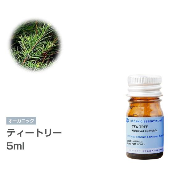 [I[KjbN] eB[g[ 5ml CZgI[KjbN GbZVIC 