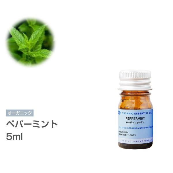 [I[KjbN] yp[~g 5ml CZgI[KjbN GbZVIC 