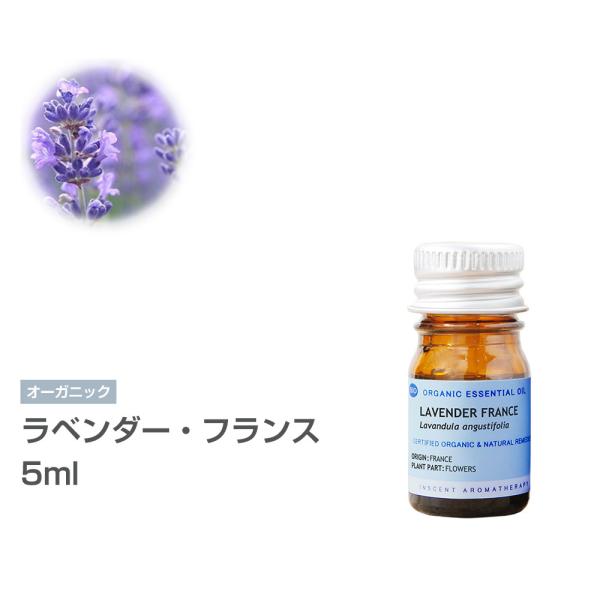 [I[KjbN] x_[EtX 5ml CZgI[KjbN GbZVIC 