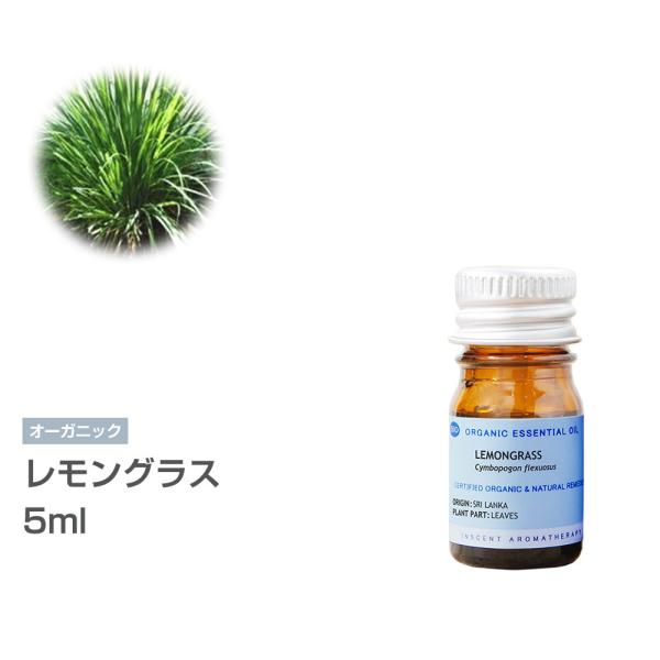 [I[KjbN] OX 5ml CZgI[KjbN GbZVIC 