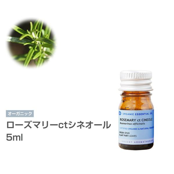 [I[KjbN] [Y}[ctVlI[ 5ml CZgI[KjbN GbZVIC 