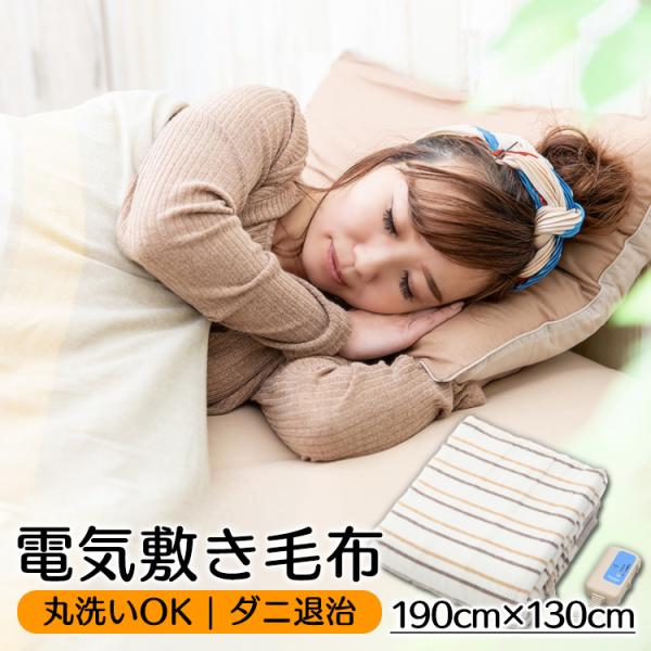 TEKNOS（テクノス） 電気毛布 敷き毛布 洗える 洗濯可 丸洗い ダニ退治
