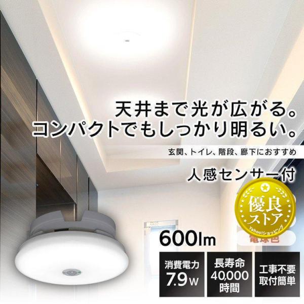 IRIS OHYAMA（アイリスオーヤマ） シーリングライト 小型 薄形 600lm