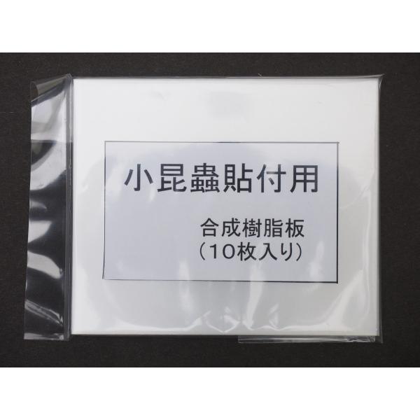 小型昆虫貼付用合成樹脂板大きさ：約６ｃｍ×７．２ｃｍ厚さ：約０．４ｍｍ素材：合成樹脂枚数：１０枚昆虫の大きさに合わせて切り抜き貼り付けます。※多少のキズや汚れが付着している場合がございます。予めご了承願います。