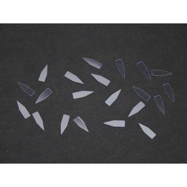 【透明】チェコ製小型昆虫貼付用台紙＜サイズ＞Ｐ１１×４／ｍｍ１００個入りチェコ共和国製