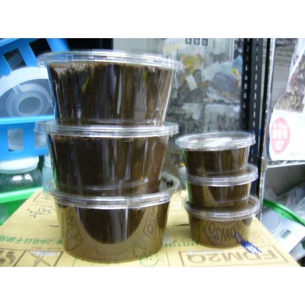 insectgreenhouse_cervusyoutyuu2_1