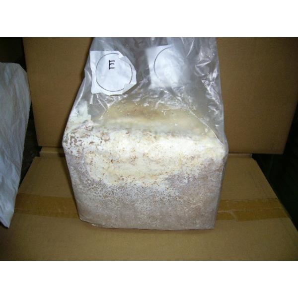 神長きのこ園製Ｅカワラブロックの販売です。菌株を１年前の発菌の良い株に戻しました。ブナ６ミリの入荷が不安定なため少し微粒子にしました。添加剤は変わりません。神長きのこ園で製造する白カワラ菌糸で今のところ一番添加剤が少ない商品です。当方とモニ...