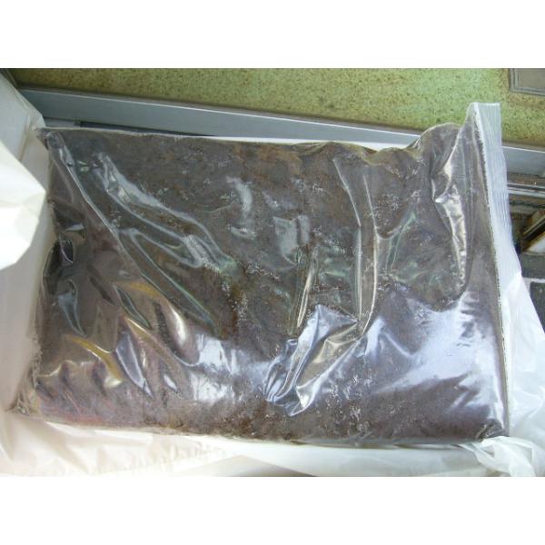 オリジナルミヤママット１０Ｌの出品です。クヌギコナラホダオガ微粒子発酵マットです。ミヤマクワガタの産卵幼虫飼育に最適です。ヒラタノコギリ等にも使えます。ルニフェルミヤマ８５ｍｍカンターミヤマ♀４５mm羽化の実績が有ります。お好みの水分調整だ...