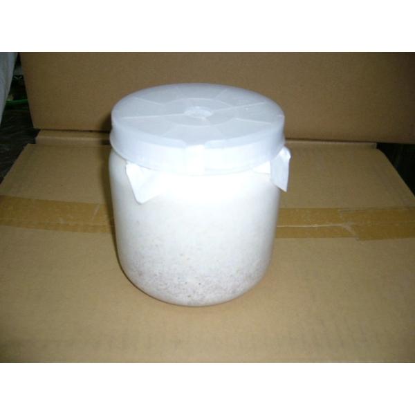 神長きのこ園製ｓ８カンタケ1400ｃｃボトルの販売です。育つＳ8カンタケ1400ccです。キノコが出にくいので低温管理期間に有利です。幼虫が大きくなり過ぎないように管理温度にはご注意ください。管理温度は15〜25度です、26度が続きますと劣...