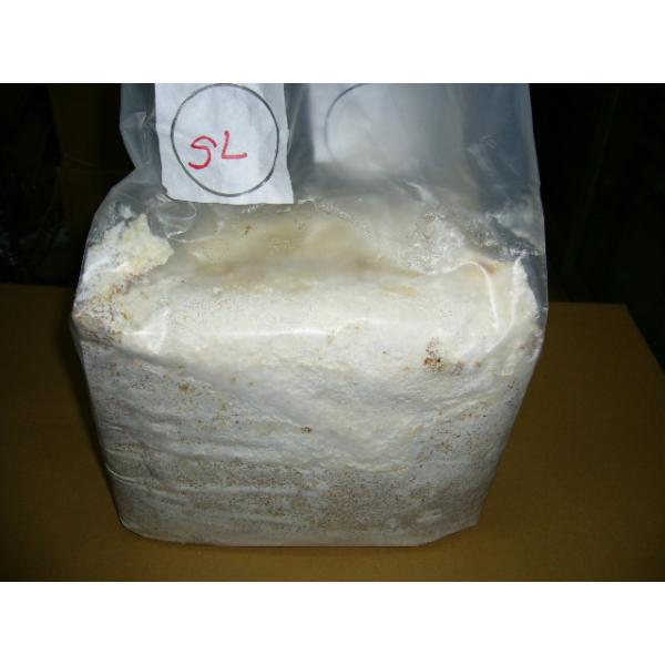 神長きのこ園製グリードSLブロック : insectGreenHouse - 通販