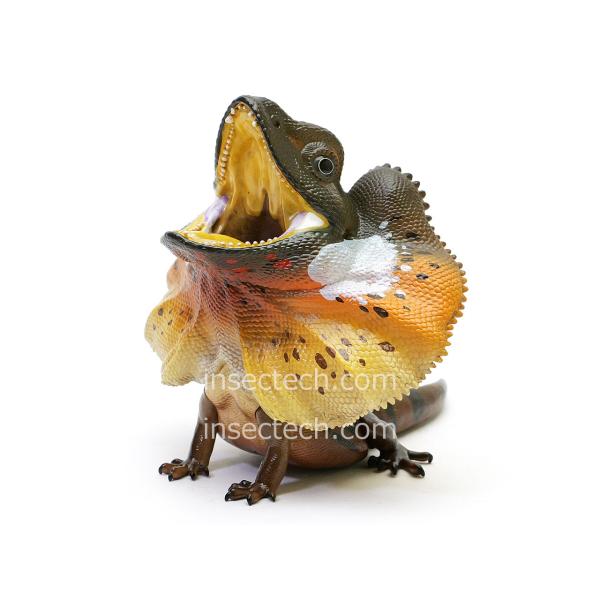 動物の惑星】エリマキトカゲ フィギュア : インセクテック動物の惑星