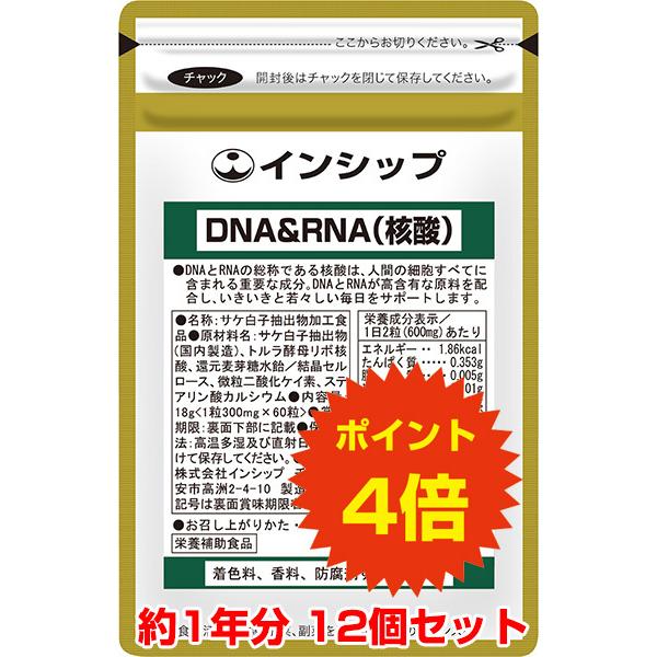 DNA＆RNA 核酸 12個セット / 12ヵ月分 送料無料 ポイント4倍 : 健康 