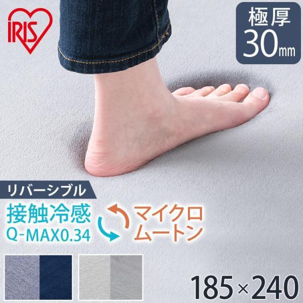 IRIS OHYAMA（アイリスオーヤマ） ラグ カーペット ラグマット 3畳 夏