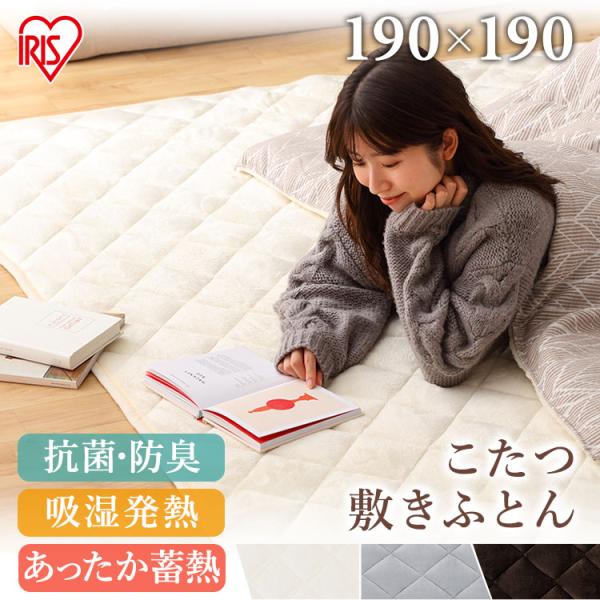 0121pointo★★詳細情報＆おトク情報は下記をご確認下さい★★■商品サイズ（cm）幅約190×奥行約190（正方形）■商品重量約2.34kg■材質＜表地＞グランド：ポリエステル55％、レーヨン45％羽毛：ポリエステル100％＜裏地＞ポ...