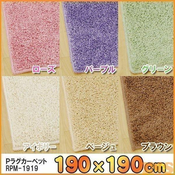 IRIS OHYAMA（アイリスオーヤマ） ラグ カーペット 抗菌 消臭 防ダニ 