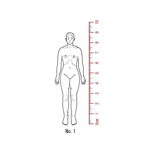 l̐}@×p@Je@ySg@ʁz01/X^v/S/i