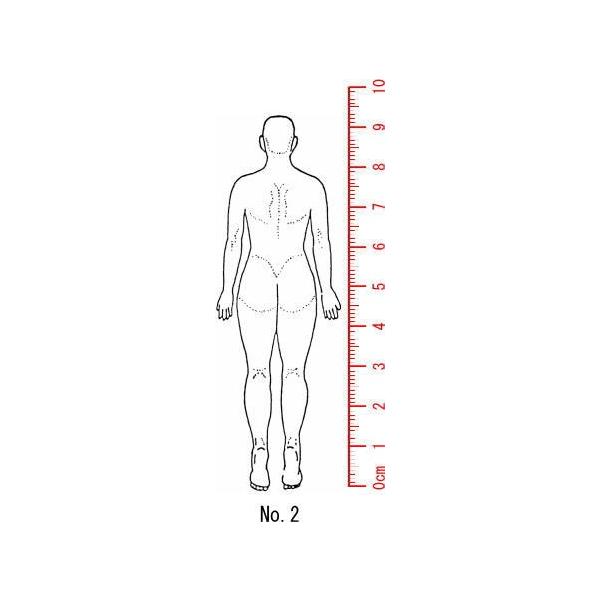 l̐}@×p@Je@ySg@wʁz02/X^v/S/i