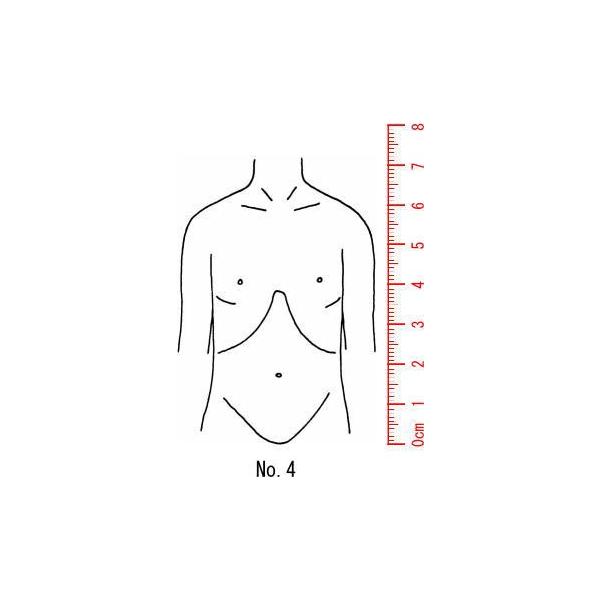 l̐}@×p@Je@ySg@ʁz04/X^v/S/i