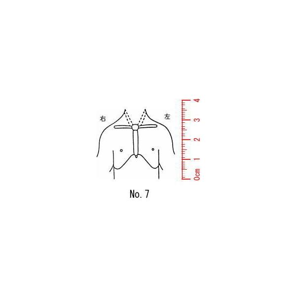 l̐}@×p@Je@yz07/X^v/S/i