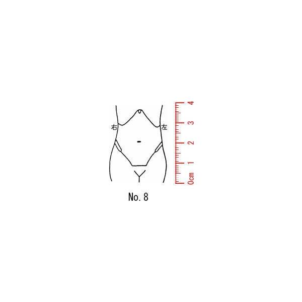 l̐}@×p@Je@yz08/X^v/S/i