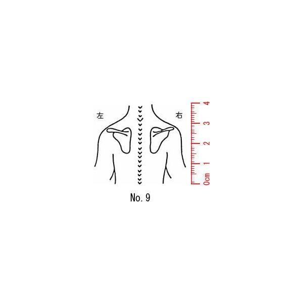 l̐}@×p@Je@yz09/X^v/S/i