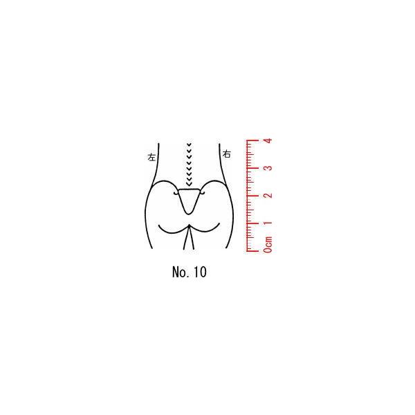 l̐}@×p@Je@yz10/X^v/S/i